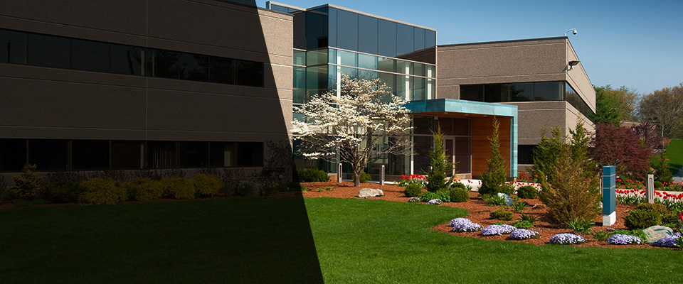 Edwards Landscapers