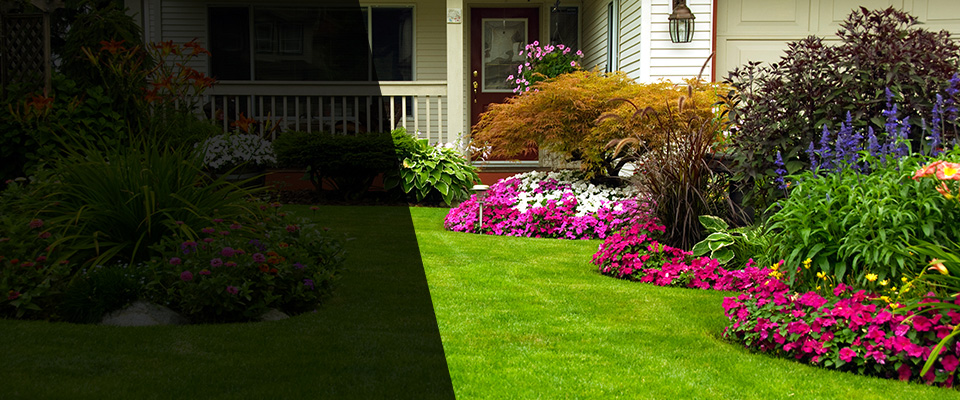 Edwards Landscapers