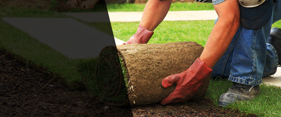 Edwards Landscapers